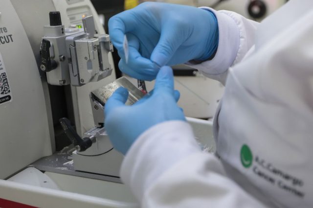 SUS passa a contar com nove novos medicamentos para tratamento de câncer