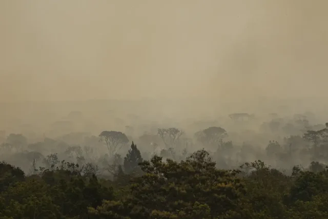 Força Nacional do SUS apoia atendimentos no Amazonas após incêndios florestais