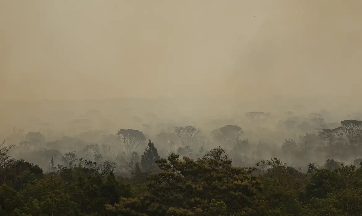 Incêndio florestal com fumaça densa na vegetação